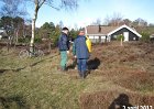 IMG 9317